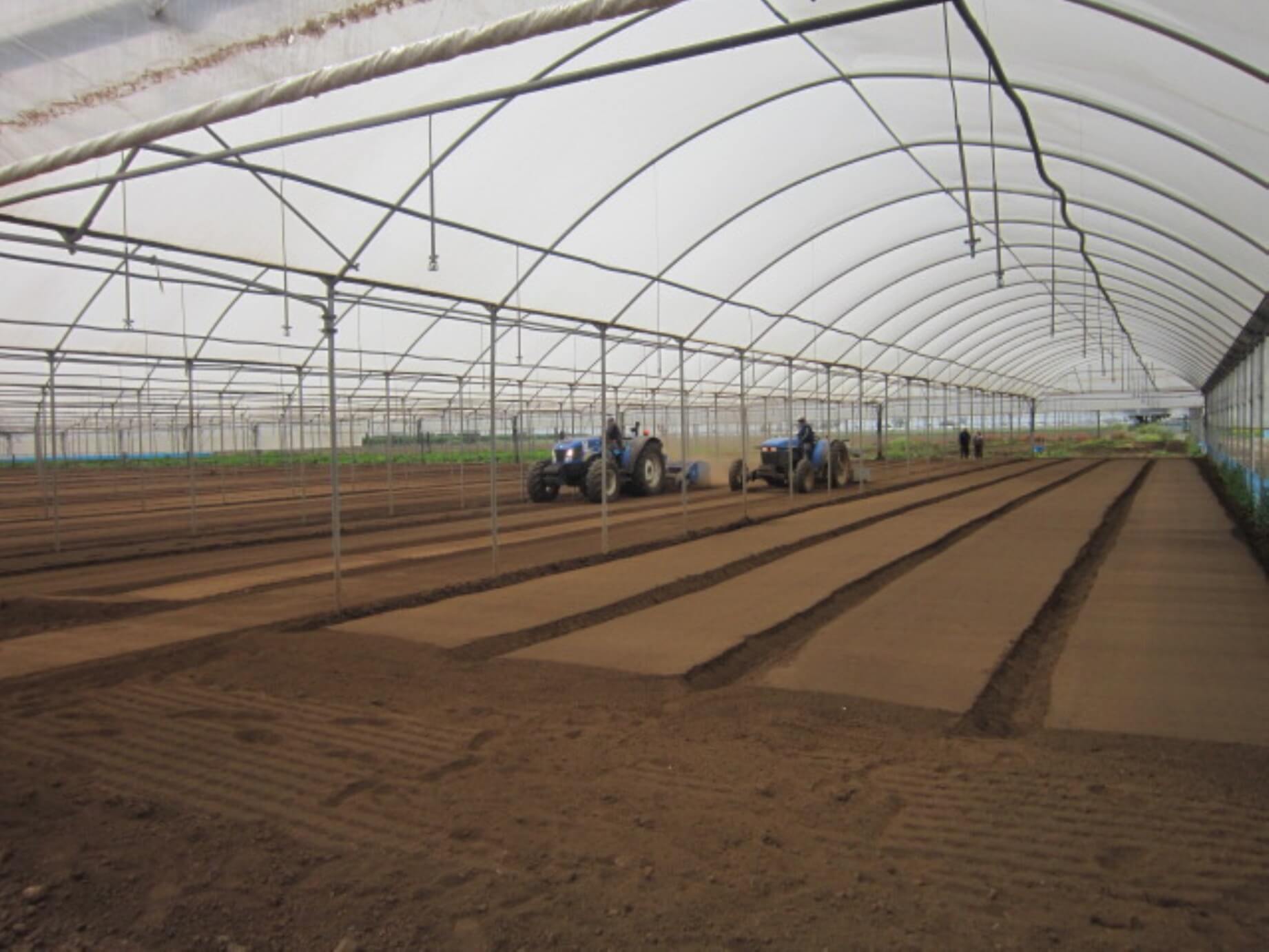 Sandy Lands and Lands Under Greenhouse - Care Cleaning and Reclamation